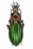 Chrysocarabus lateralis leonensis