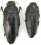 Buprestidae TR 7